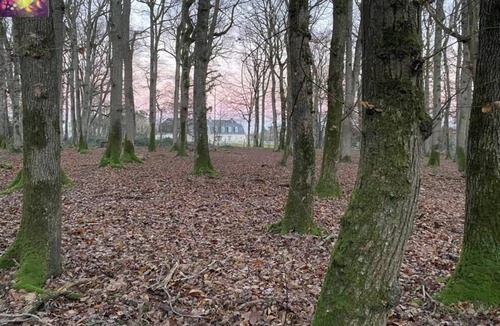 Mettray Apartment | Nature immersion just 3 minutes from Tours