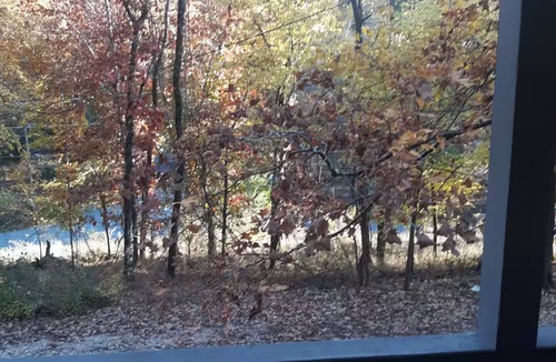 Eureka Springs Historic District Cottage | Nature Lovers Cottage