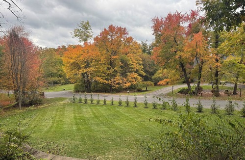 Kingston House | Nature Meets Comfort — Spacious Kingston Home in Bluestone Forest