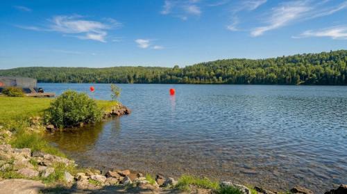 Saint-Felix-d'Otis Ski Chalet | Nature Pool Table & Water Access - Le Highland