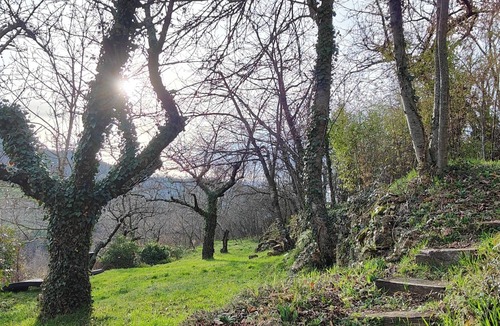 Empurany Apartment | Nature studio, pets welcome