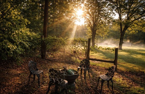 Kosciusko Cabin | Nature walks Ponds Firepit Garden -6 miles off the Natchez Trace