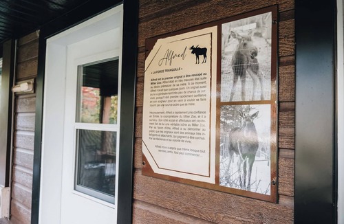 Frampton Ski Chalet | Nature & Wildlife Escape - Alfred Shack
