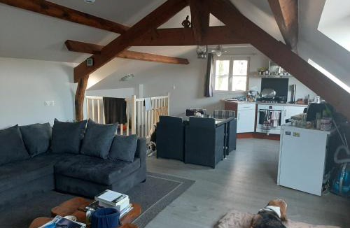 Chenehutte-Treves-Cunault House | Naturellement Loire !