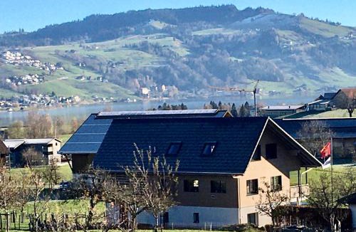 Unterageri Apartment | Naturnoech