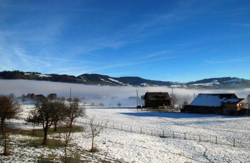 Unterageri Apartment | Naturnoech