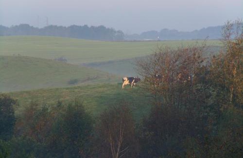 Them Bed & Breakfast | Natursti Silkeborg Bed & Breakfast