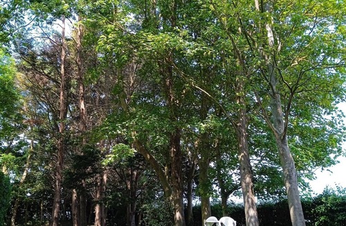 Colline-Beaumont House | Near Baie de Somme "good authie"