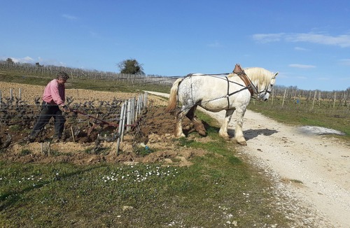 Magny-les-Villers House | Near Beaune, House of the Hautes Côtes de Beaune