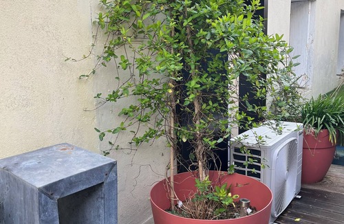 Meschers-sur-Gironde House | Near Matata