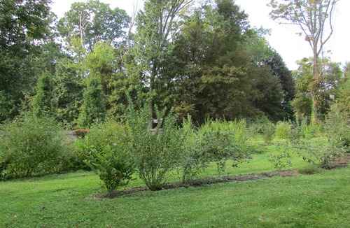 Andover Apartment | Near Phillips Academy Andover.
