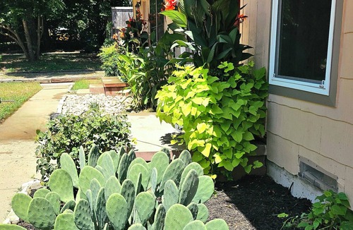 Denton House | Near UNT. Pets Ok. Near FIFA World Cup Games. Large back yard.