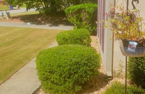 Covington House | Neat family home for large group