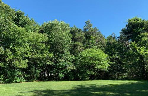 Katama House | Need a Bigger Boat