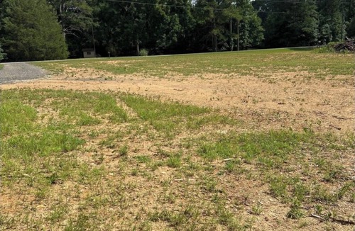 Muscadine House | Need a spot for your RV or Camper?