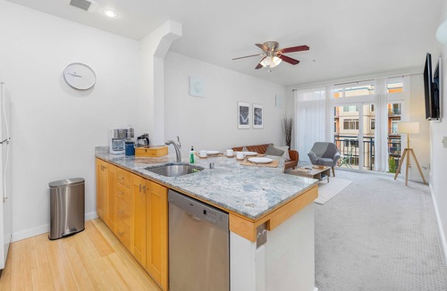 Belltown Apartment | Needle's Edge 99 Walkscore