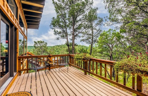 Alto Cabin | Neeley Mountain House | Mountain Views!