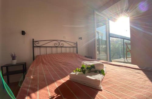 Hodilje House | Nespola