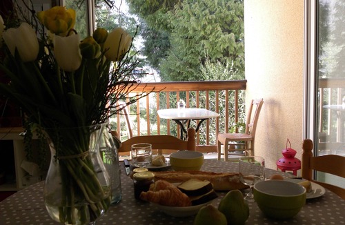 Aulus-les-Bains Apartment | nest in Aulus-les-Bains