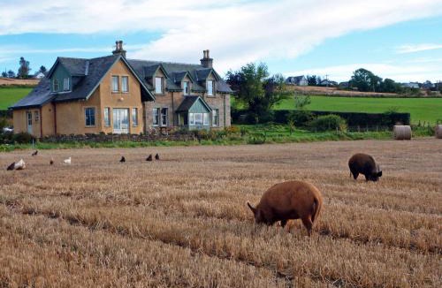 Culbokie Bed & Breakfast | Netherton Farm B&B
