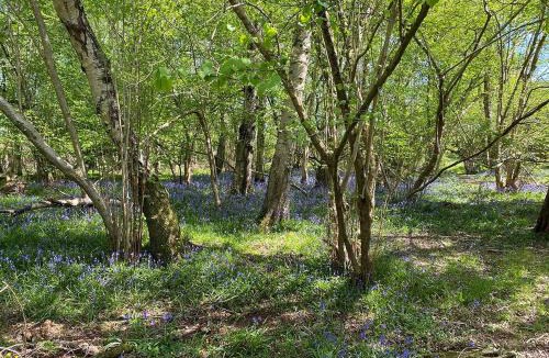 Durley House | Nettlebed Farm Holiday Lets Barn3