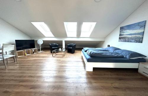 Seengen Apartment | Neue Einzimmer Dachwohnung