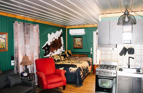 Neal Cabin | NEW! #1 ~ Modern Hunting One Room Cabin ~ Wheelchair Accessible