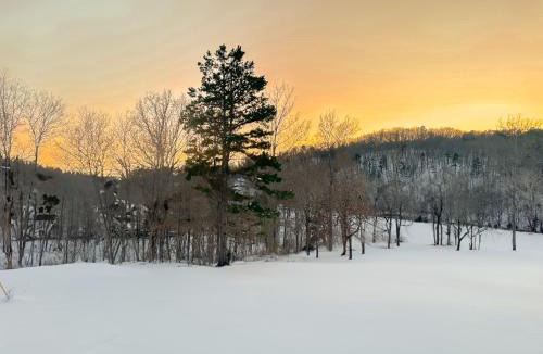 Salem Apartment | NEW 2 Bedroom Cabin 2 Miles to Montauk State Park
