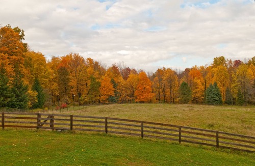 Buchanan House | New 27" Limited Edition RV