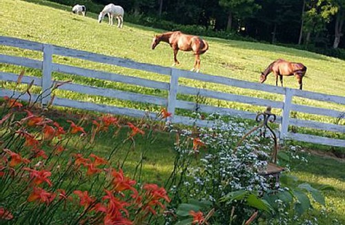 Buchanan House | New 27" Limited Edition RV