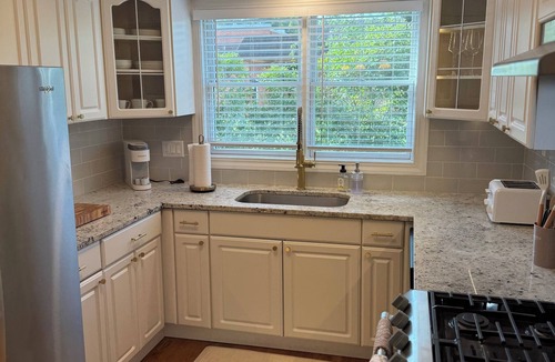 Village of Lakewood Cottage | -NEW- Blue Magnolia Cottage -3 King Beds- Downtown Crystal Lake
