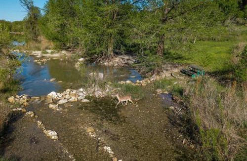 Wimberley House | NEW Campfire Cottage River Access Shared Pool