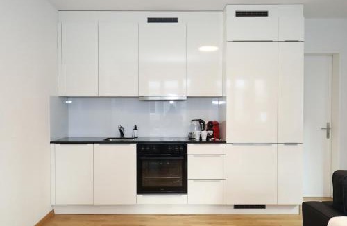 Alt-Wiedikon Apartment | New City Center Apt with Private Entry & Parking