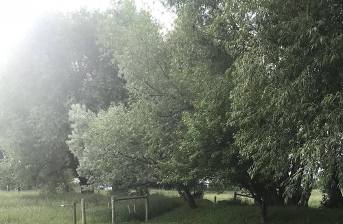 Livingston House | New! Custom built Blue Pine Guest House