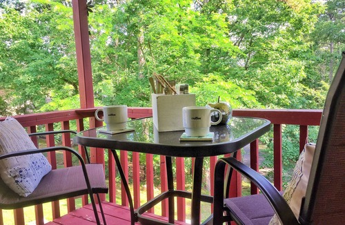 Hot Springs Village House | "NEW" Designed for Comfort and Relaxation and close to everything!