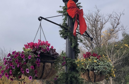 Napa House | NEW DOWNTOWN NAPA HOME (AMAZING LOCATION)