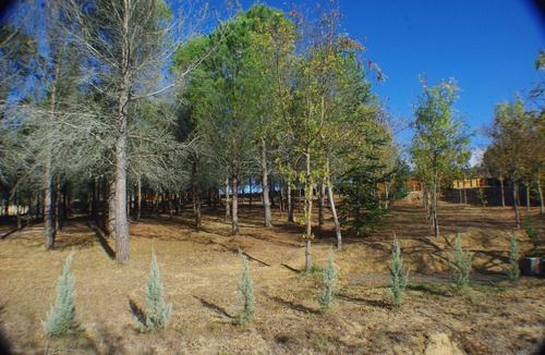 Limoux House | New eco-lodge in the countryside, three minutes from all amenities.