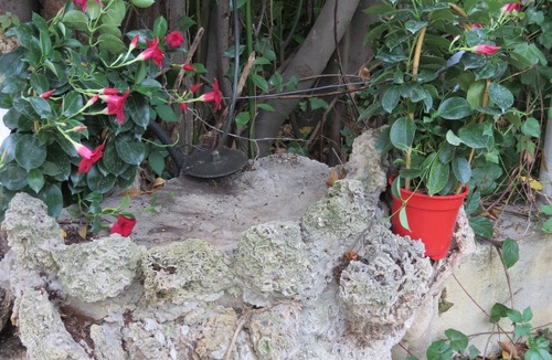 Le Thoronet Cottage | NEW EGLANTINE STUDIO GITE