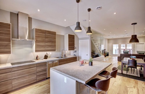 Downtown St. John's House | NEW Executive Townhome - #42