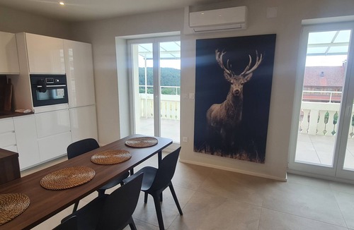 Thannenkirch Apartment | NEW, FULLY EQUIPPED APARTMENT WITH VIEW OF THE HAUT-KOENISBOURG AND THE BLACK FOREST