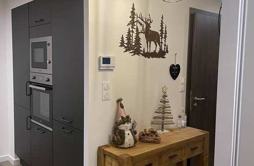 Xonrupt-Longemer Apartment | New gîte with private Nordic bath