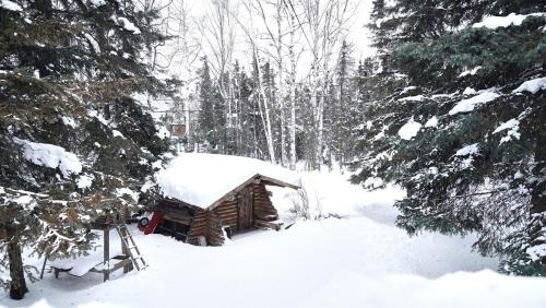 Turnagain House | New-Game Room-Nearby Lake-Airport-Family-Bear Haus