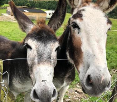 Shawforth Apartment | New Hill Farm Shawforth