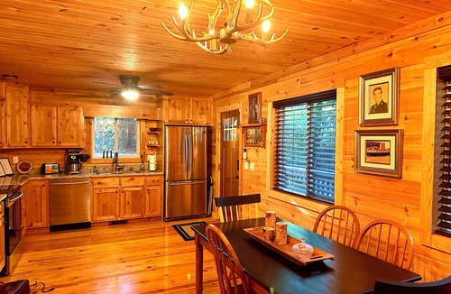 Murphy Cabin | NEW! HOT TUB; FIREPIT; FAST WIFI; Near Blue Ridge, Blairsville, Folk School