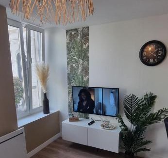 Pont-a-Mousson Apartment | New jungle studio cœur de ville