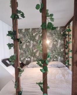 Pont-a-Mousson Apartment | New jungle studio cœur de ville