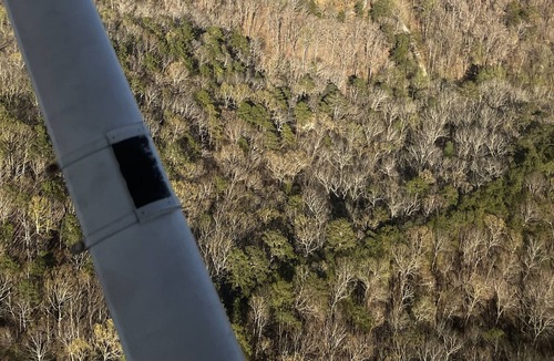 Talking Rock Cabin | *NEW LISTING* The Summit Getaway