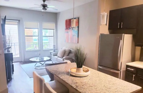 Memorial Apartment | New Luxury 1- bedroom unit with a rooftop pool.