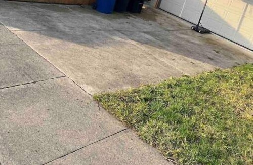 Carmichael House | New Mini home