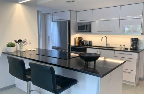 Winnipeg Condo | NEW ! MODERN 1500 SF 2 BR 2.5 BA -ULTRA LUXURIOUS CONDO -OSBORNE VILLAGE !
